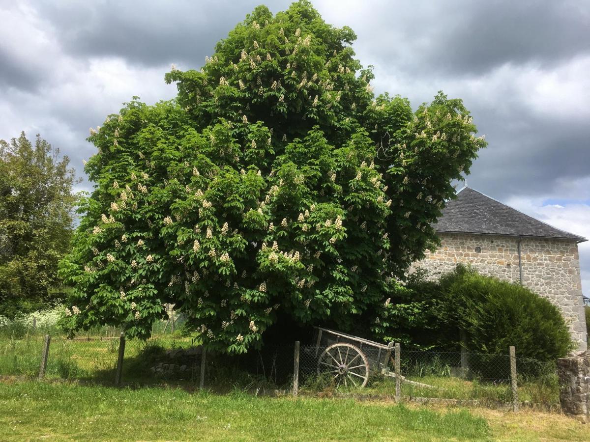 Les Pipistrelles 19 - Chambre D'Hotes Meymac Exteriér fotografie